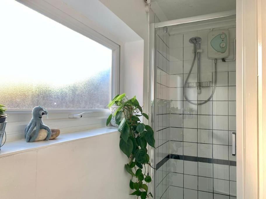 Cute Cottage 4 Mins From Cafes Station And Sea St Leonards-on-Sea Esterno foto